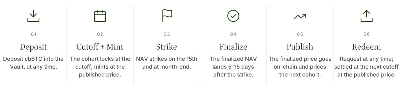 NAV Strike